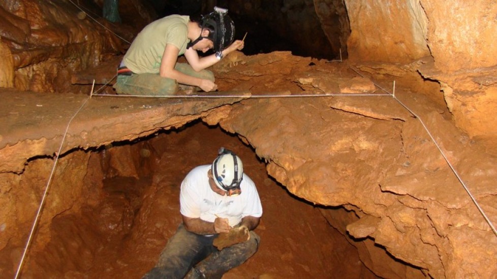 Evaluation of collection methods used in Brazilian caves