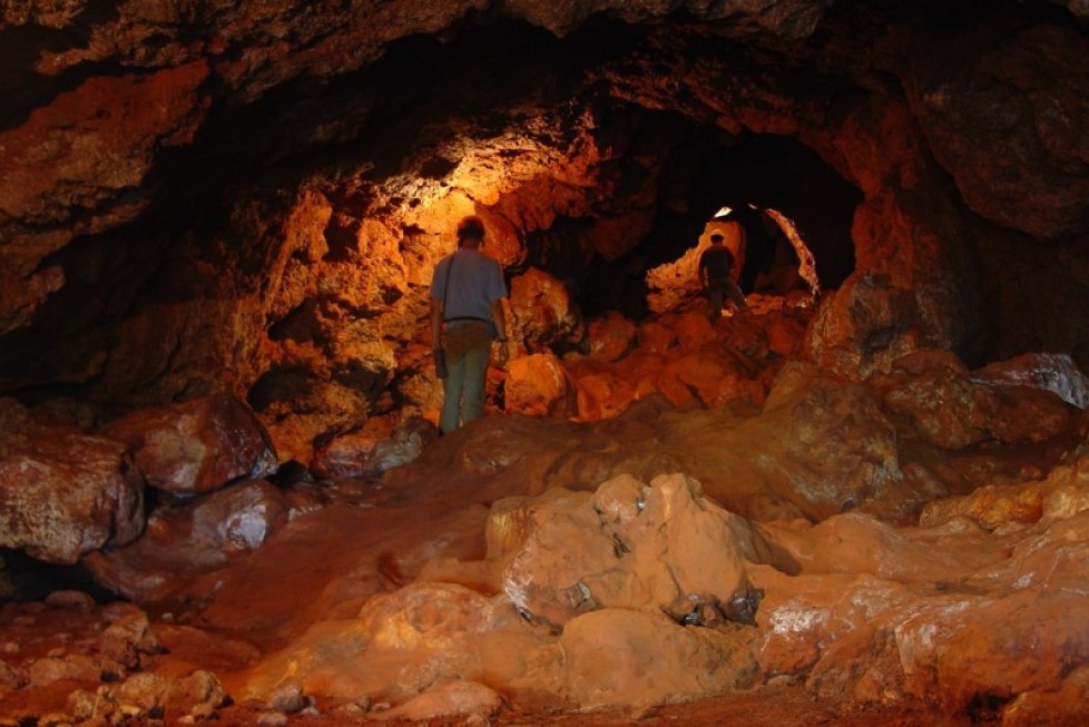 Biodiversidade em cavernas ferruginosas Brasileiras