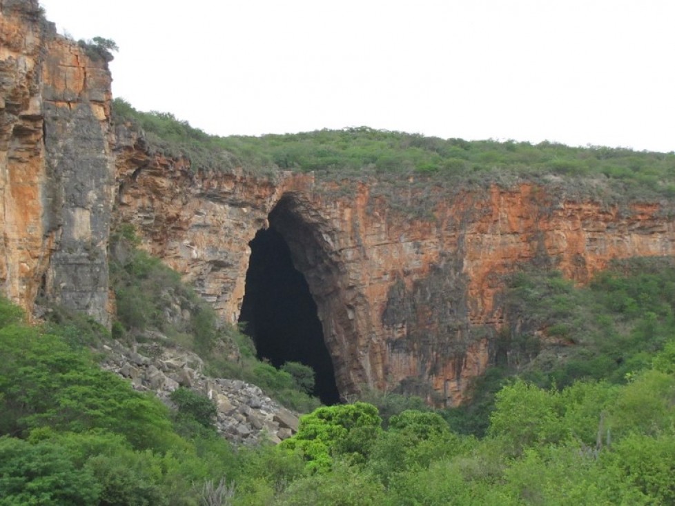 Brazilian Caatinga: assistance in defining priority areas for conservation