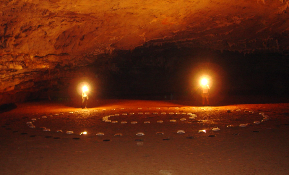 Sucessão ecológica em guano de morcegos insetívoros em cavernas