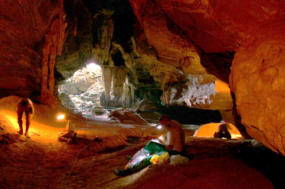 Ecotones in cave entrances