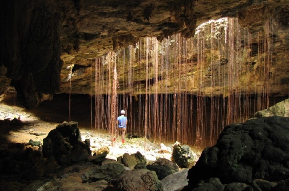 Diversity of invertebrates in limestone caves in the west of RN