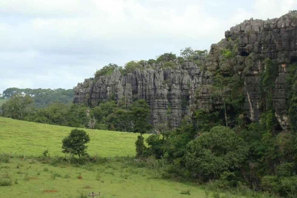 Diversidade de invertebrados cavernícolas na província espeleológica de Arcos, Pains e Doresópolis