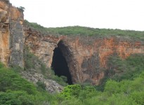 Caatinga: subsídios para definição de áreas prioritárias para a conservação