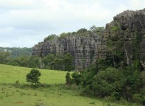 Diversidade de invertebrados cavernícolas na província espeleológica de Arcos, Pains e Doresópolis