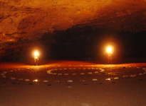 Sucessão ecológica em guano de morcegos insetívoros em cavernas